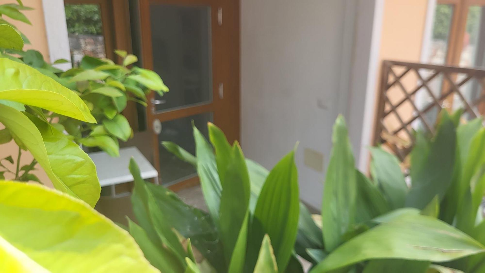 Residence Villa Margherita Brenzone sul Garda Eksteriør bilde