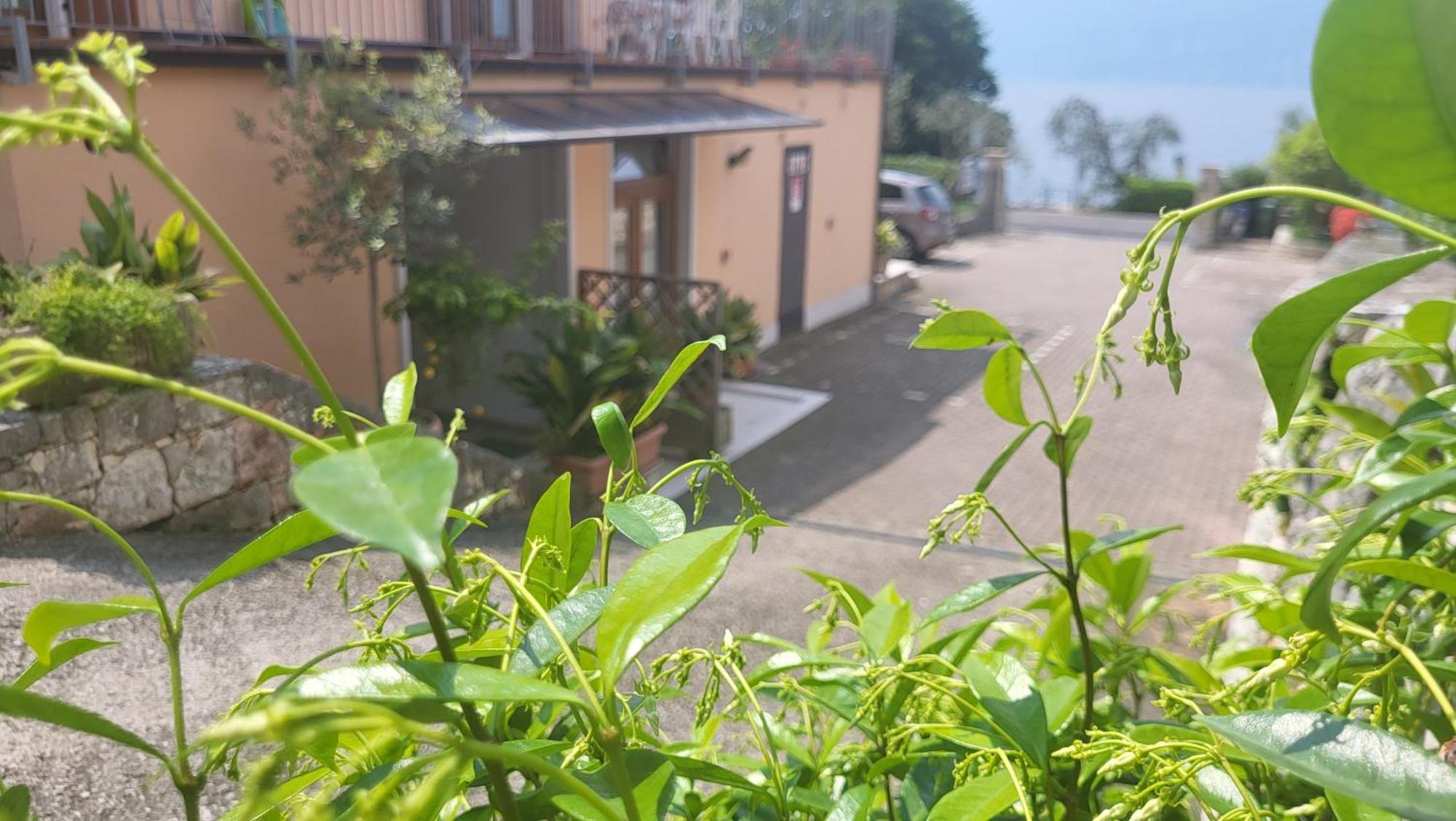 Residence Villa Margherita Brenzone sul Garda Eksteriør bilde